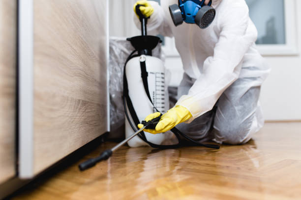Best Pest Removal Services  in Anniston, AL