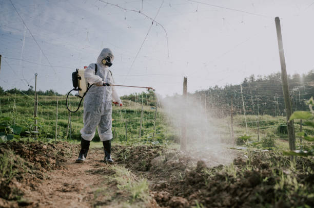 Best Commercial Pest Control Services  in Anniston, AL