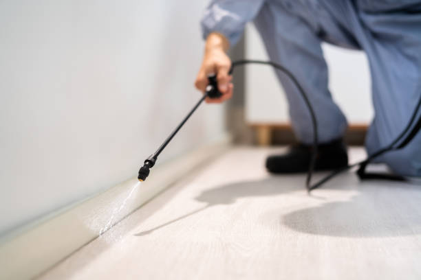 Professional Pest Control in Anniston, AL