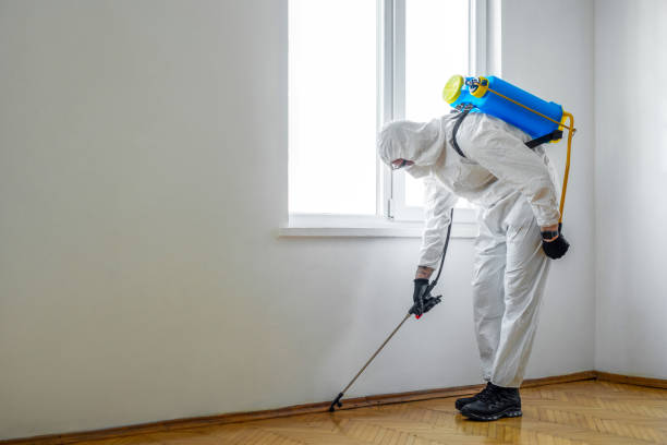  Anniston, AL Pest Control Pros