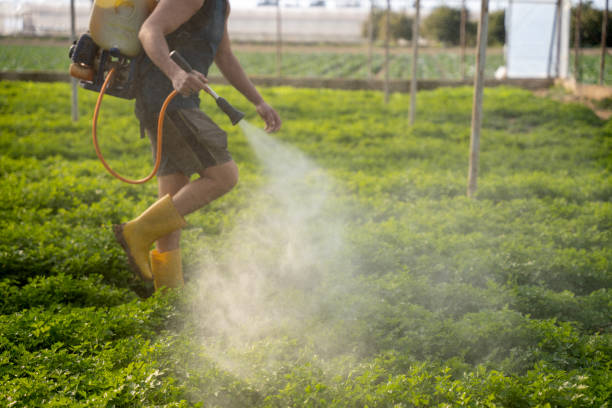 Insect Control in Anniston, AL