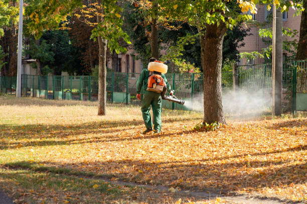 Best Wildlife Control Services  in Anniston, AL