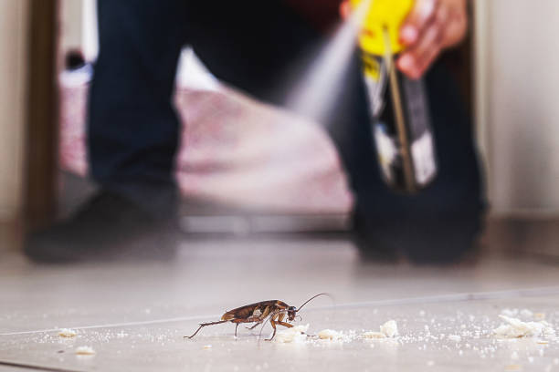 Best Wasp Removal Services  in Anniston, AL