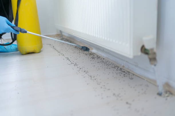 Best Exterminator Services  in Anniston, AL
