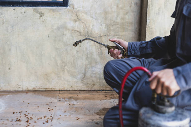 Best Wasp Removal Services  in Anniston, AL